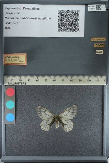 Media type: image;   Entomology 180018